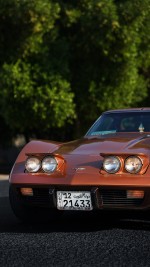 1976 Chevrolet Corvette Stingray T-Top - 35k mile