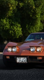 1976 Chevrolet Corvette Stingray T-Top - 35k mile