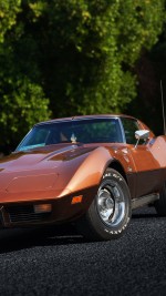 1976 Chevrolet Corvette Stingray T-Top - 35k mile