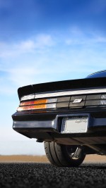 1981 Chevrolet Camaro Z/28 - LS2