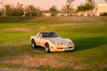1981 Chevrolet Corvette T-Top - 28k mile