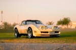 1981 Chevrolet Corvette T-Top - 28k mile