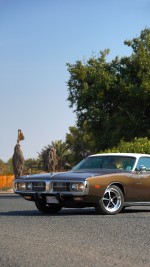 1974 Dodge Charger SE Hardtop - 31k mile