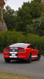 2014 Ford Mustang Shelby GT500 SVT Package - 18k km