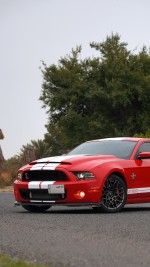 2014 Ford Mustang Shelby GT500 SVT Package - 18k km
