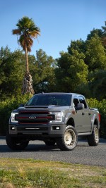 2019 Ford F-150 Harley Davidson - 63k km