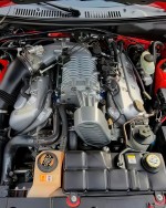 2003 Ford Mustang SVT Cobra Convertible - 22k mile