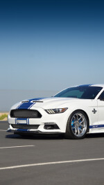 2017 Ford Mustang Shelby Super Snake 50th Anniversary Edition - 10k km