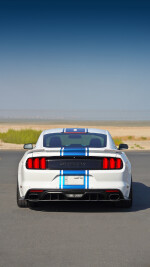 2017 Ford Mustang Shelby Super Snake 50th Anniversary Edition - 10k km