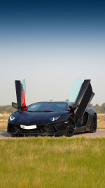 2015 Lamborghini Aventador LP 700-4 Coupe - 21k km