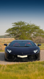 2015 Lamborghini Aventador LP 700-4 Coupe - 21k km