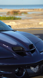 2002 Pontiac Firebird Trans Am WS6 T-Top - 48k mile