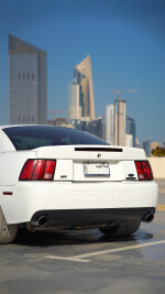 2004 Ford Mustang Cobra SVT Coupe - 9,180 km only