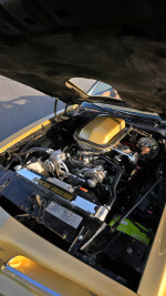 1978 Pontiac Firebird Trans Am T-Tops - 72k km