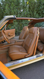 1978 Pontiac Firebird Trans Am T-Tops - 72k km