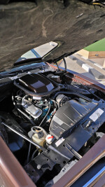 1977 Pontiac Firebird Trans Am 400 - 99k mile