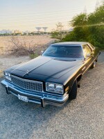1976 Buick LeSabre Coupe - 44k mile