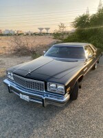 1976 Buick LeSabre Coupe - 44k mile