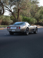 1982 Chevrolet Corvette Collector Edition - 68k mile