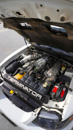 2004 Ford Mustang Cobra SVT Terminator Coupe - 87k mile